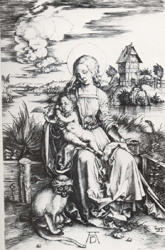 Albrecht Durer The Madonna with the Monkey France oil painting art